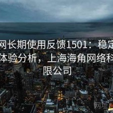 海角网长期使用反馈1501：稳定性与用户体验分析，上海海角网络科技有限公司