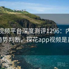 探花视频平台深度测评1296：内容变化与趋势判断，探花app视频是真的吗
