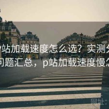 正规P站加载速度怎么选？实测分析与常见问题汇总，p站加载速度慢怎么办