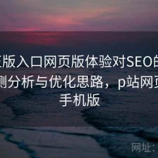 P站正版入口网页版体验对SEO的影响：实测分析与优化思路，p站网页版变手机版
