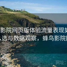 蜂鸟影院网页版体验流量表现如何？怎么选与数据观察，蜂鸟影院网络