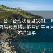 麻豆平台平台现状复盘1861：哪些问题最容易被忽略，麻豆的平台为什么不抓知乎