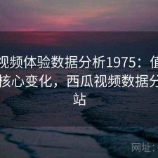 西瓜视频体验数据分析1975：值得关注的核心变化，西瓜视频数据分析网站