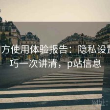 P站官方使用体验报告：隐私设置与技巧一次讲清，p站信息