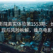 蜂鸟影院真实体验第1553期：长期表现与风险拆解，蜂鸟电影