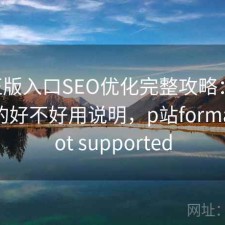 P站正版入口SEO优化完整攻略：新手必看的好不好用说明，p站format is not supported