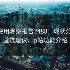 P站使用观察报告2488：现状分析与避坑建议，p站功能介绍