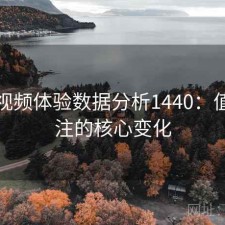 蜜桃视频体验数据分析1440：值得关注的核心变化