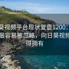 向日葵视频平台现状复盘1200：哪些问题最容易被忽略，向日葵视频你值得拥有