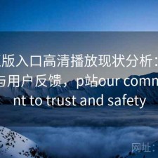 P站正版入口高清播放现状分析：好不好用与用户反馈，p站our commitment to trust and safety
