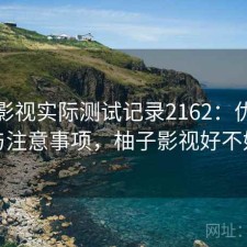 柚子影视实际测试记录2162：优缺点与注意事项，柚子影视好不好