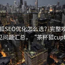 茶杯狐SEO优化怎么选？完整攻略与常见问题汇总，“茶杯狐cupfox”