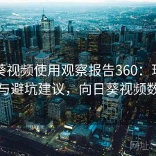 向日葵视频使用观察报告360：现状分析与避坑建议，向日葵视频数次
