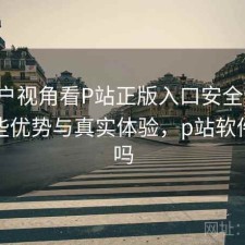 从用户视角看P站正版入口安全访问：有哪些优势与真实体验，p站软件安全吗