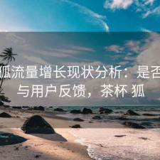茶杯狐流量增长现状分析：是否值得与用户反馈，茶杯 狐