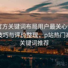 P站官方关键词布局用户最关心什么？使用技巧与评价整理，p站热门高质量关键词推荐