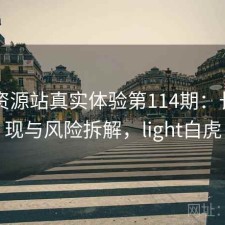 白虎资源站真实体验第114期：长期表现与风险拆解，light白虎