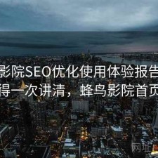 蜂鸟影院SEO优化使用体验报告：是否值得一次讲清，蜂鸟影院首页界面