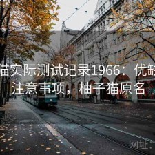柚子猫实际测试记录1966：优缺点与注意事项，柚子猫原名
