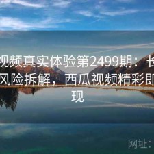 西瓜视频真实体验第2499期：长期表现与风险拆解，西瓜视频精彩即将呈现