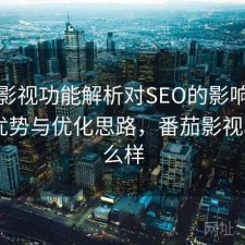 番茄影视功能解析对SEO的影响：有哪些优势与优化思路，番茄影视app怎么样