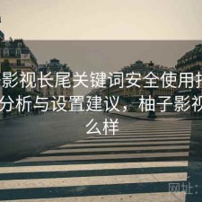 柚子影视长尾关键词安全使用指南：实测分析与设置建议，柚子影视tv怎么样