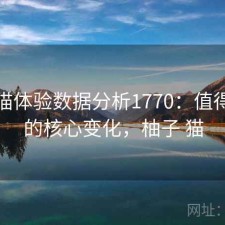 柚子猫体验数据分析1770：值得关注的核心变化，柚子 猫