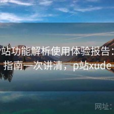 正规P站功能解析使用体验报告：避坑指南一次讲清，p站xude