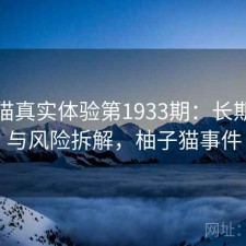 柚子猫真实体验第1933期：长期表现与风险拆解，柚子猫事件