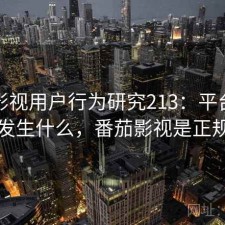 番茄影视用户行为研究213：平台生态正在发生什么，番茄影视是正规的吗