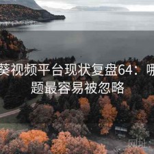向日葵视频平台现状复盘64：哪些问题最容易被忽略