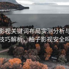 柚子影视关键词布局实测分析与使用技巧解析，柚子影视安全吗