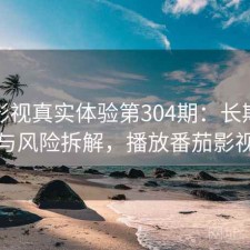 番茄影视真实体验第304期：长期表现与风险拆解，播放番茄影视