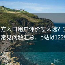 P站官方入口用户评价怎么选？实测分析与常见问题汇总，p站id1229881