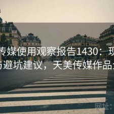 天美传媒使用观察报告1430：现状分析与避坑建议，天美传媒作品介绍