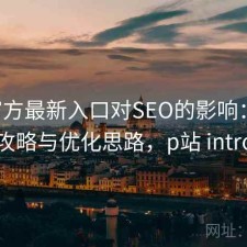 P站官方最新入口对SEO的影响：完整攻略与优化思路，p站 intro