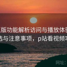 P站正版功能解析访问与播放体验：怎么选与注意事项，p站看视频攻略
