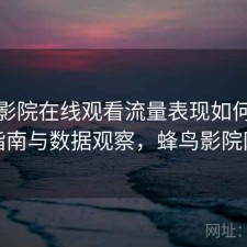 蜂鸟影院在线观看流量表现如何？避坑指南与数据观察，蜂鸟影院网络