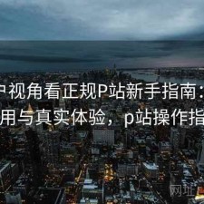 从用户视角看正规P站新手指南：如何使用与真实体验，p站操作指南