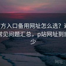 P站官方入口备用网址怎么选？避坑指南与常见问题汇总，p站网址到底是多少