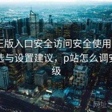 P站正版入口安全访问安全使用指南：怎么选与设置建议，p站怎么调安全等级