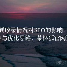 茶杯狐收录情况对SEO的影响：完整攻略与优化思路，茶杯狐官网进入