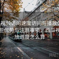 西瓜视频访问速度访问与播放体验：有哪些优势与注意事项，西瓜视频播放进度怎么算
