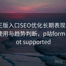 P站正版入口SEO优化长期表现分析：如何使用与趋势判断，p站format is not supported