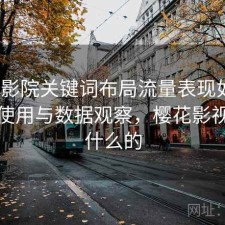 樱花影院关键词布局流量表现如何？如何使用与数据观察，樱花影视是干什么的