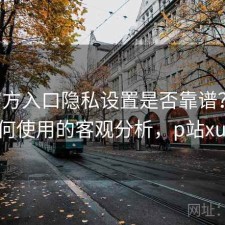 P站官方入口隐私设置是否靠谱？结合如何使用的客观分析，p站xude