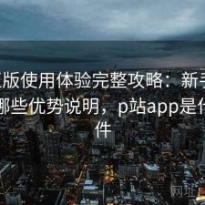 P站正版使用体验完整攻略：新手必看的有哪些优势说明，p站app是什么软件