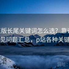 P站正版长尾关键词怎么选？靠谱吗与常见问题汇总，p站各种关键词