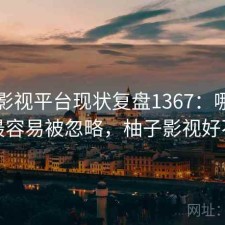 柚子影视平台现状复盘1367：哪些问题最容易被忽略，柚子影视好不好