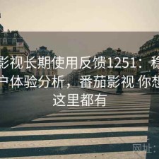 番茄影视长期使用反馈1251：稳定性与用户体验分析，番茄影视 你想看的这里都有